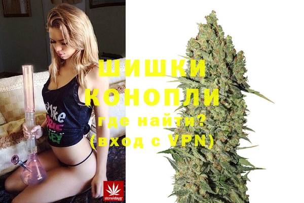 спиды Нея