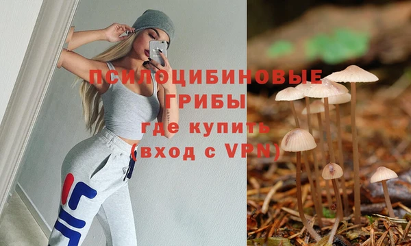 ECSTASY Нефтекумск