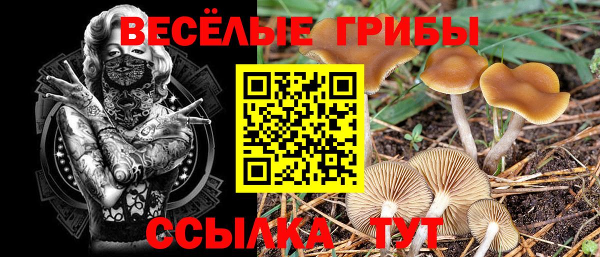 Псилоцибиновые грибы MAGIC MUSHROOMS  Крымск  Псилоцибиновые грибы мицелий 