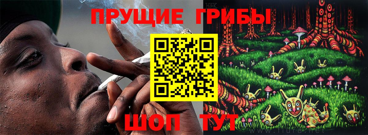 Крымск  Псилоцибиновые грибы мицелий  Галлюциногенные грибы Magic Shrooms  Вход с VPN 